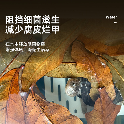 No-cooking turtle longan leaves to prevent rotten skin and armor, turtle raising leaves to improve water quality, turtle raising supplies, turtle tank landscaping