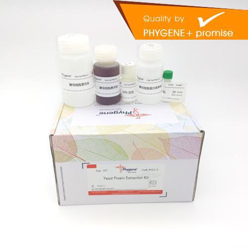 Phygene 酵母细胞总蛋白提取试剂盒 Yeast Proein Extraction Kit