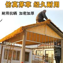 ����é�ݵ��ݛ�ͤ���������b�������ͥԺ�ٲ���픸���l�lé��