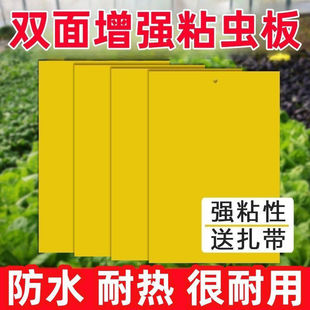 ��ճ�S���T�x���ˮ���x����䲡�x�������S��һ�wճ�x������҃�