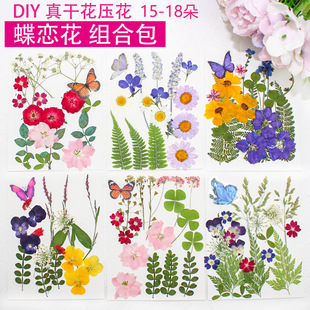 Butterfly love flower dried flower embossed plant combination DIY handmade drop glue photo frame table lamp fan flower material bag wholesale