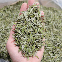 2022年首采白毫银针 首日小米针芽福鼎高山白茶