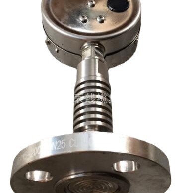 隔膜压力表TP-100/FZ/MN316法兰安装