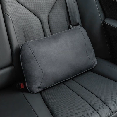 Headrest — and Lumbar Support Interior Modification