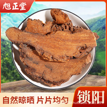 �������iꖂ��r�aƷ���l��Į���i��ݾƴ��ò辫�x�i�ƬșʳͬԴ