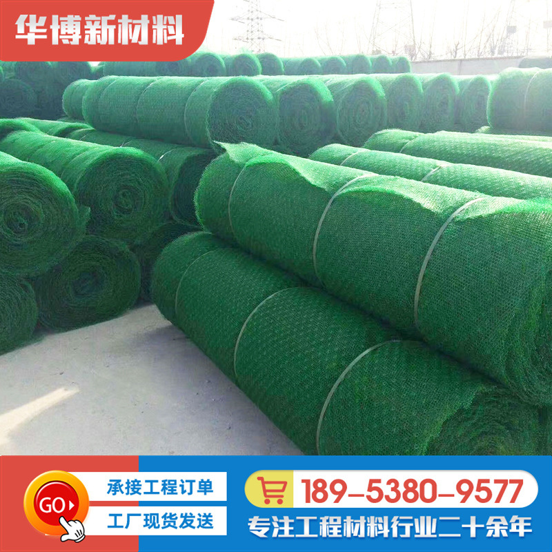 三维植被土工网 园林绿化固土植草绿化护坡三层四层三维植被网