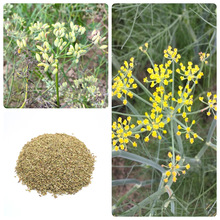 lСNșķN߲˷NӸ˷NļԷNֲ