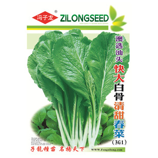 ���x���^���׹����𴺲�  �T�����N��S��ֱ���������������