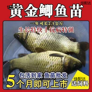 ��̖������a�Bֳ�����������a�~�絭ˮ�~���a�~�a�~��Ĭ�J����