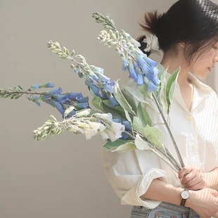 �S�����l��֦�߷���ë���S �ӼҔ[�� �Ƶ� Ӱ�ﻨˇ�쾰 ܛ�b����