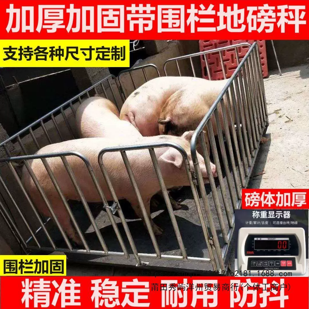 Электронные весы говорят, что свинья бычья земля весит свинью электронные весы для свиней 3 тонны