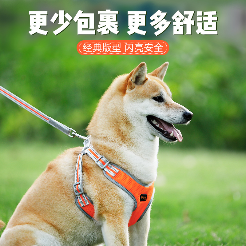 犬用リード、ハーネス、犬用ロープ、ペット用中小型犬用テディベスト型首輪、子犬用犬用散歩チェーン|undefined