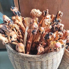 ɽľN ľNô򱳲jѨλN ľN