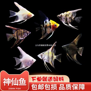 �~�Ꭷ���w�^�p�~��̖���~������ɫ��ˮ���BС���~�߲��~