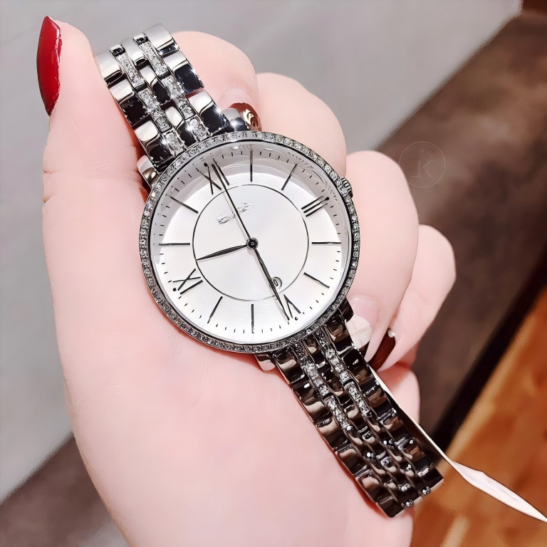 Manufacturer Wholesale Fs Diamond-Encrusted Women's Quartz Watch with Stainless Steel Strap and Fossil Calendar Model Es3433/Es3434 Manufacturer Wholesale Fs Diamond-Encrusted Women's Quartz Watch with Stainless Steel Strap and Fossil Calendar Model Es3433/Es3434