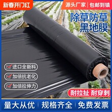 黑地膜除草膜农用加厚塑料薄膜黑膜保温保湿蔬菜大棚种植育苗防草