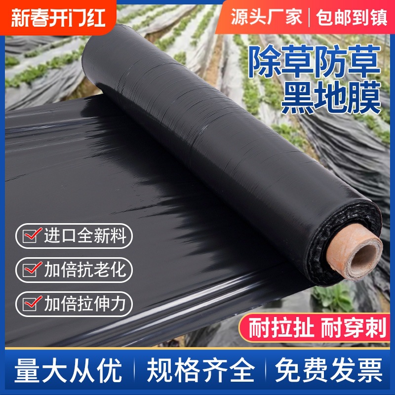 黑地膜除草膜农用加厚塑料薄膜黑膜保温保湿蔬菜大棚种植育苗防草