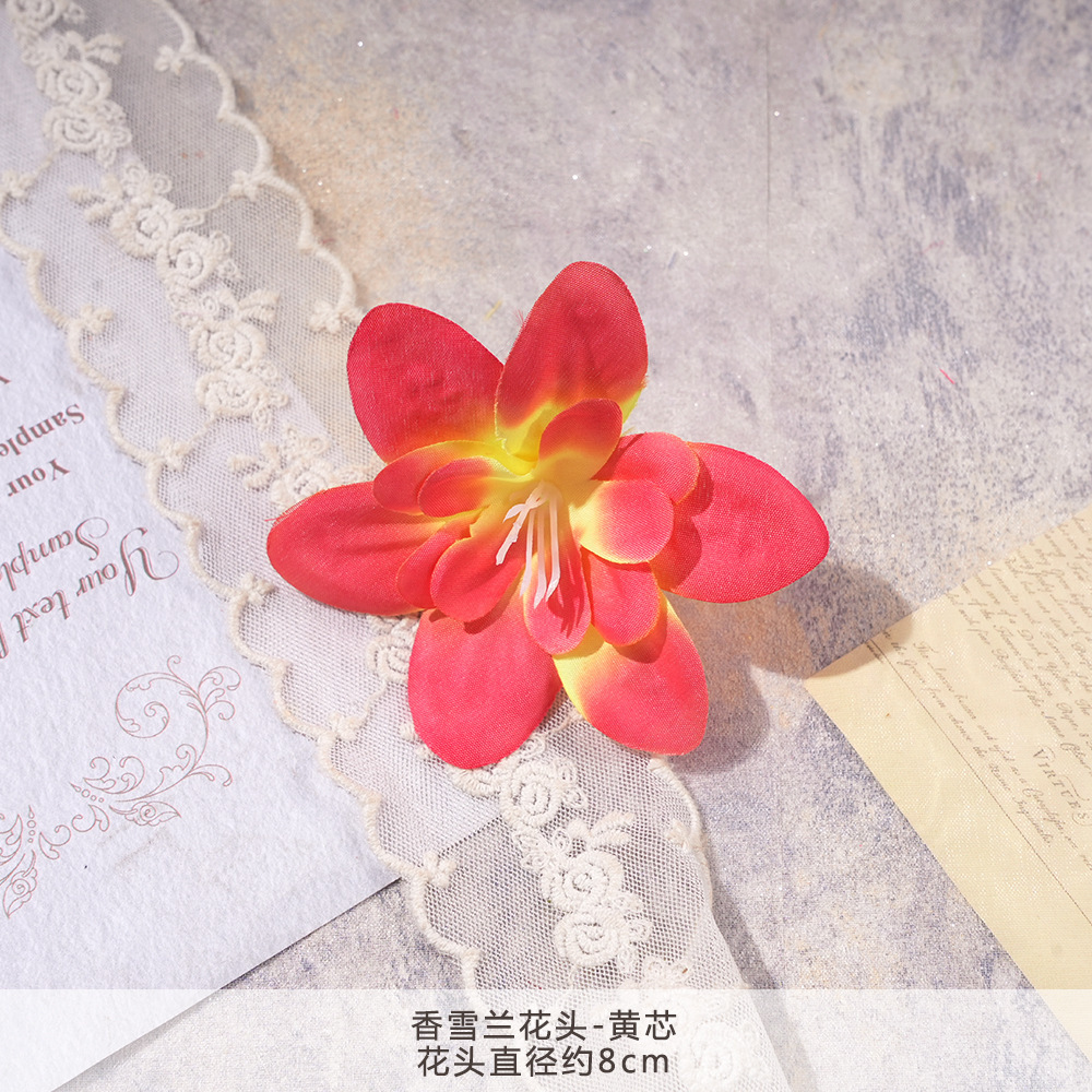 XH2-향기로운 눈 난초 머리-노란색 코어