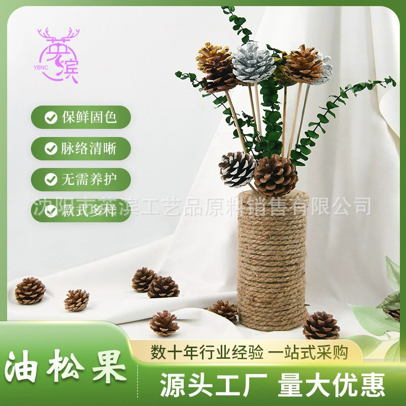 Подвесная линия Сосновая шишка Северная местная сосновая шишка Масляная шишка 3-7 см Украшение в пасторальном стиле Декоративные сушеные основной цвет Масляная шишка