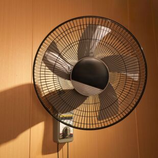 �羳���N���l1618��5�~����L��220V Adjustable Wall Fan OEMODM