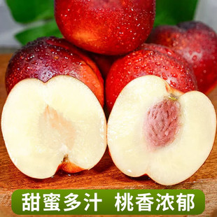 �V�ݽ������lֱ�l���g�������S�������������rˮ�������������