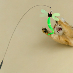 Cat Long Stick Simulation Dragonfly Insect Cat Wands Head Self-High Extended Steel Wire Cat Wand Fairy Cat Wands Toys