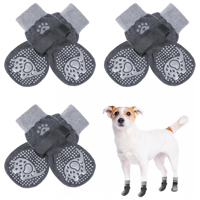 회색 아기 코끼리