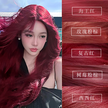 Ⱦ�l����ƯŮ�@�׏͹żt��ݮ�t�����t��ݮ���ؼt�����ڼ�Ⱦ�l��