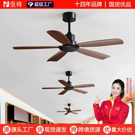 风扇灯;电风扇;吊扇