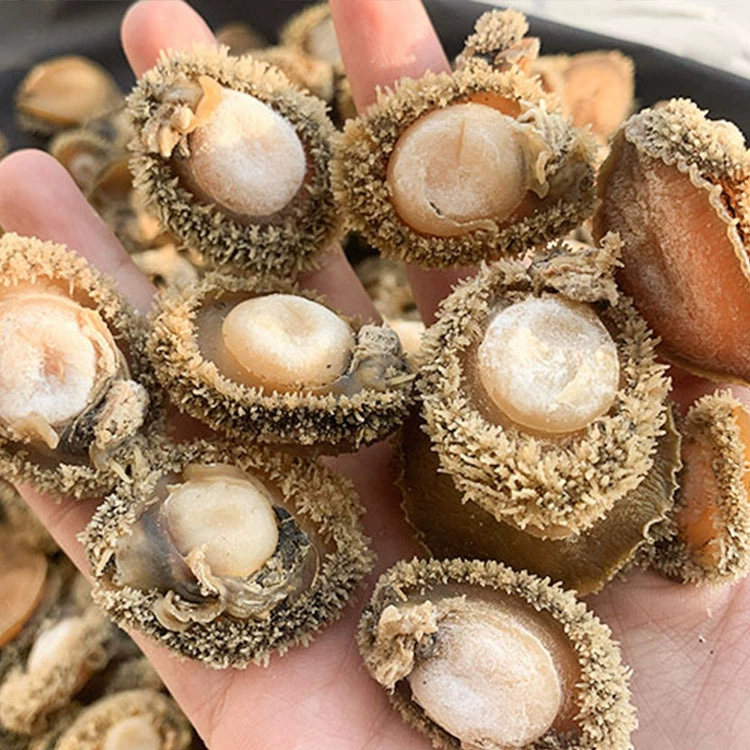 Оптовый товар Yide Lu Haiwei, дегустационная корейская устрица африканская abalone, вкусная легкая сухая сахарная сердце абалонеи беременным женщинам готовиться к беременности рагу суп питательное