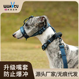 wakytu英国狗狗外出牵引绳中大型犬可调节项圈防爆冲咬人训练嘴套