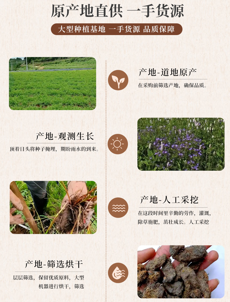 Cao He Che Grass River Cart Rhizome Dried Bistorta Root Slices 500g Traditional TCM Herb quality and texture