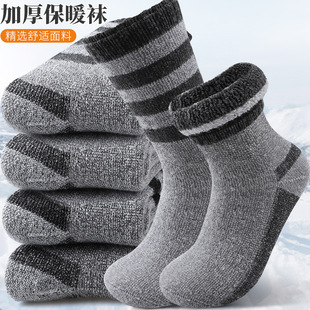 �����Ӻ�ëȦ�m����ʿ�l�yƴɫ��Ͳ�L�m�羳�����ذ�ѩ���m��ů