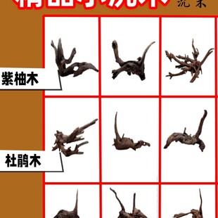 ��ľ�쾰����ľ���N�������r���~�廨ˮ���~��΢���^����[����̨