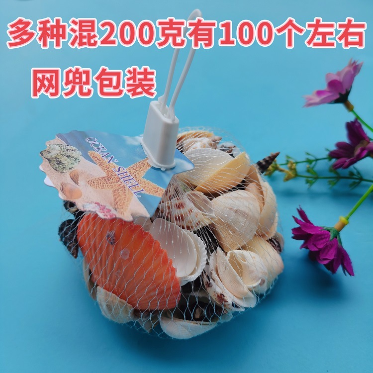 ♔ Shell and Conch Gift Pack, Aquarium Decoration, Night Market Stall, Tourist Area Hot Seller, Children's Gift