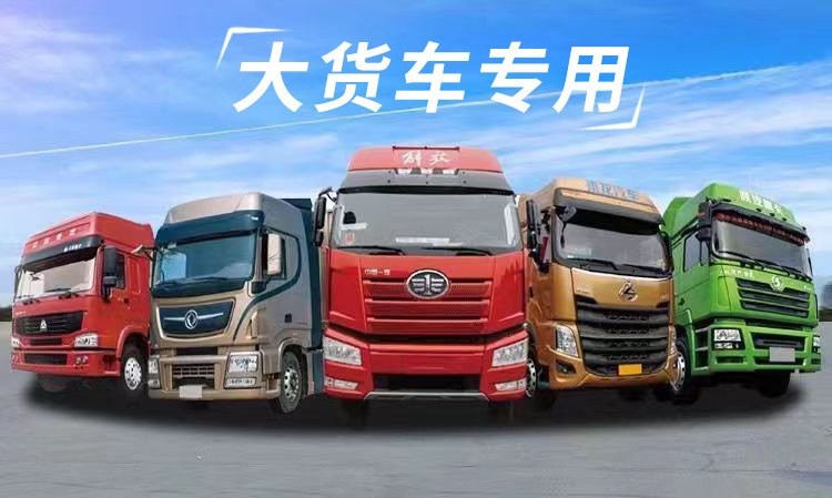 Heavy Duty Howo T7H Tx 380 Howan N7G N5G Truck Sleeper Cotton Pad Winter Thickeneded Cotton Pad Plush