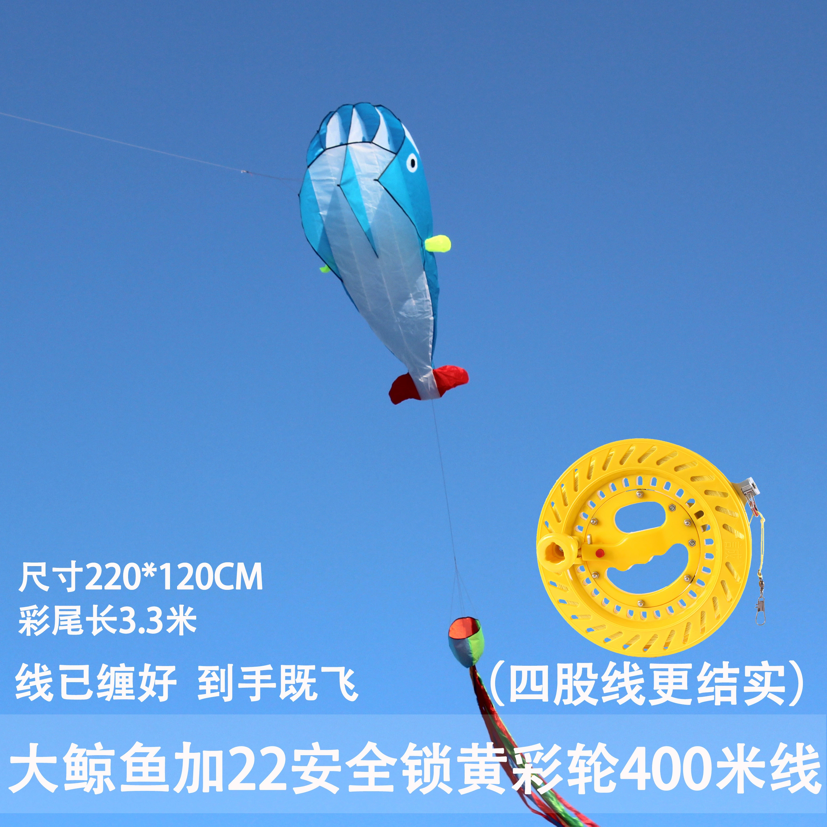 Kite for adults