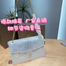 跨境包包女复古套色蛇头蛇纹新款高端时尚百搭手提链子斜挎包单肩