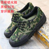 [Vulcanized shoes low-top] small flowers