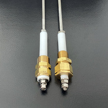 ��¯ͭ���ˮλ�缫 304�����̽�� ����������ˮλ������ �缫��