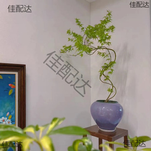 ��Ȫ���Gֲ�·��̨��Ȫ�������辰�͏d��ʽ�͹��մ�����