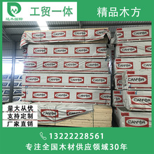 加松spf建筑木方模板 云杉樟子松铁杉建筑木方38*89口料 木屋古建