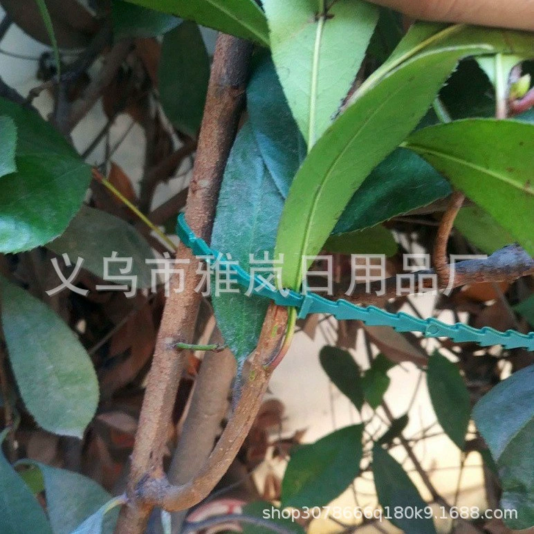 Трансграничные производители оптовых заводов 13CM садовые стяжки зеленые экологически чистые зеленые растения могут многократно использовать новые материалы