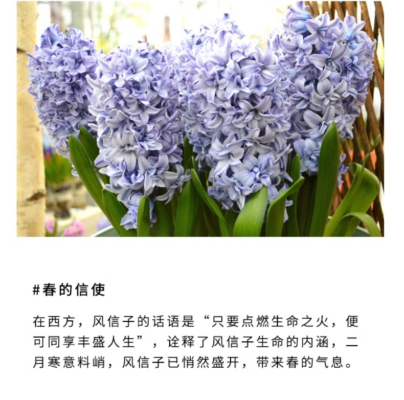 YJH_一键复制_20240722221433