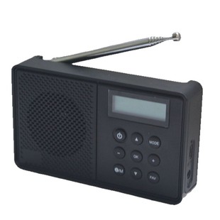 2025 European Model Mini Hot-Selling Dab/Fm Radio Amplifier, Portable Model Specifically for Construction Sites and Outdoor Use