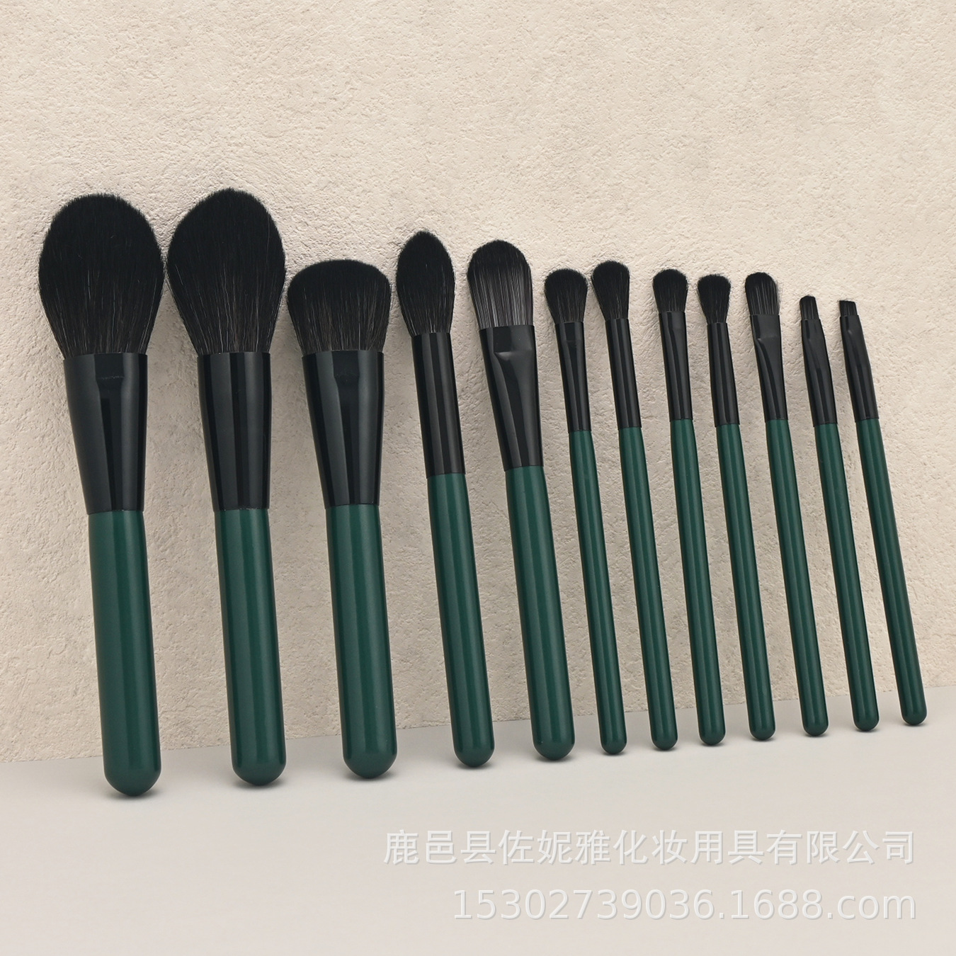 Brush, 12 pieces