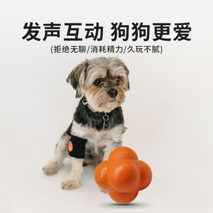 ���������Ҏ�t���f������ҧӖ��Ȥζ�ldog squeaker toys