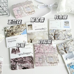 ԭ���������^���sins�Y������������b�b�زČ��ۿ�Ƭ�b���