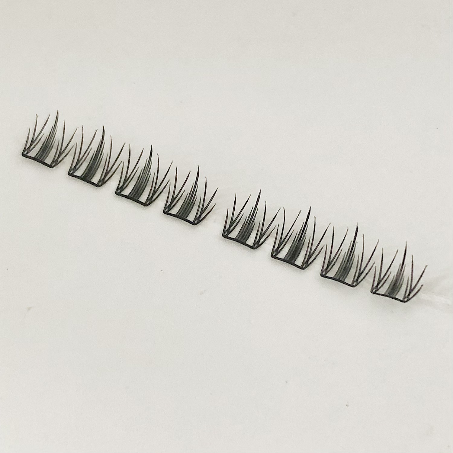 Hoja de arce de otoño de vitalidad de hoja pequeña