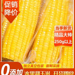真空锁鲜水果玉米_1688买家百科